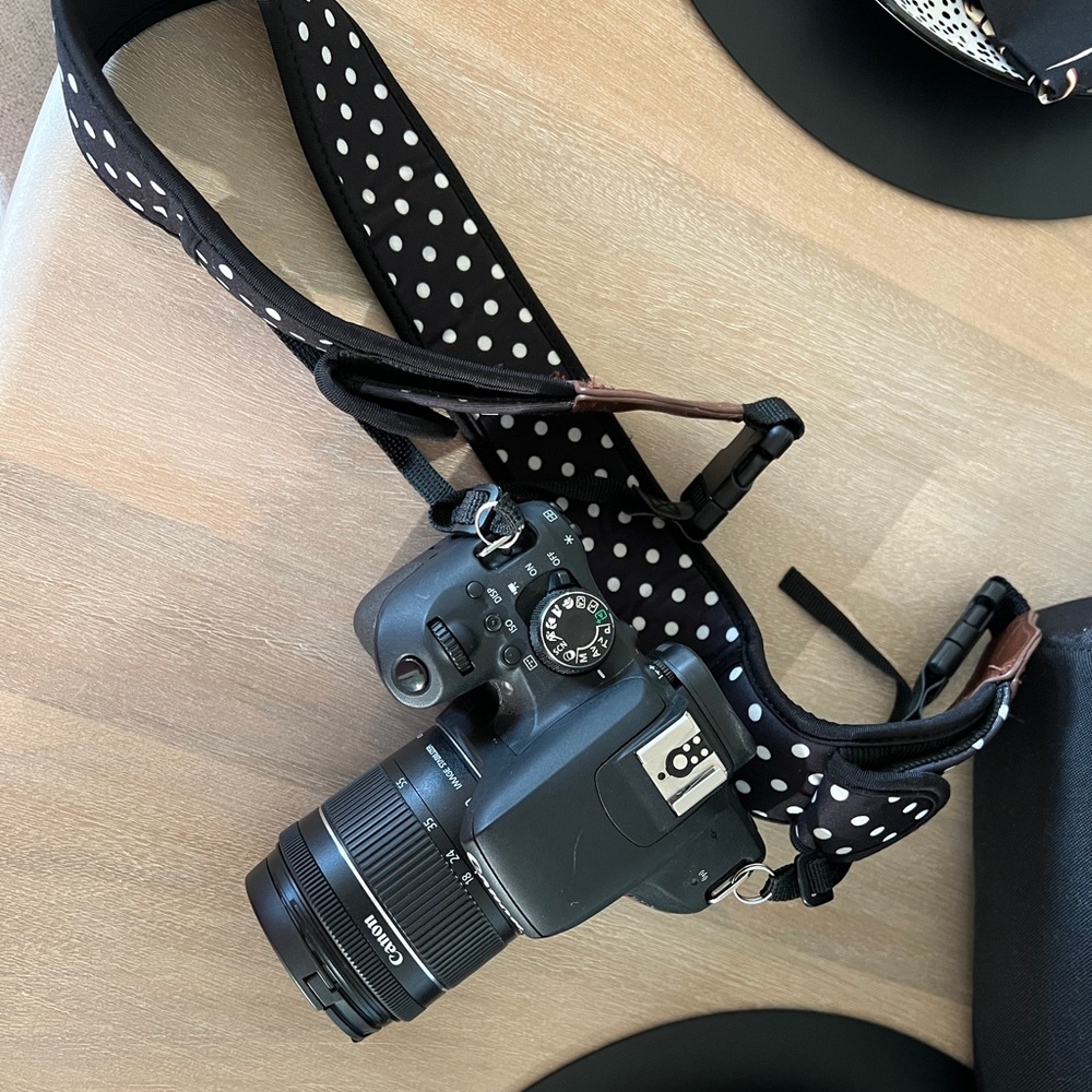 Canon Rebel T7i camera & bag.